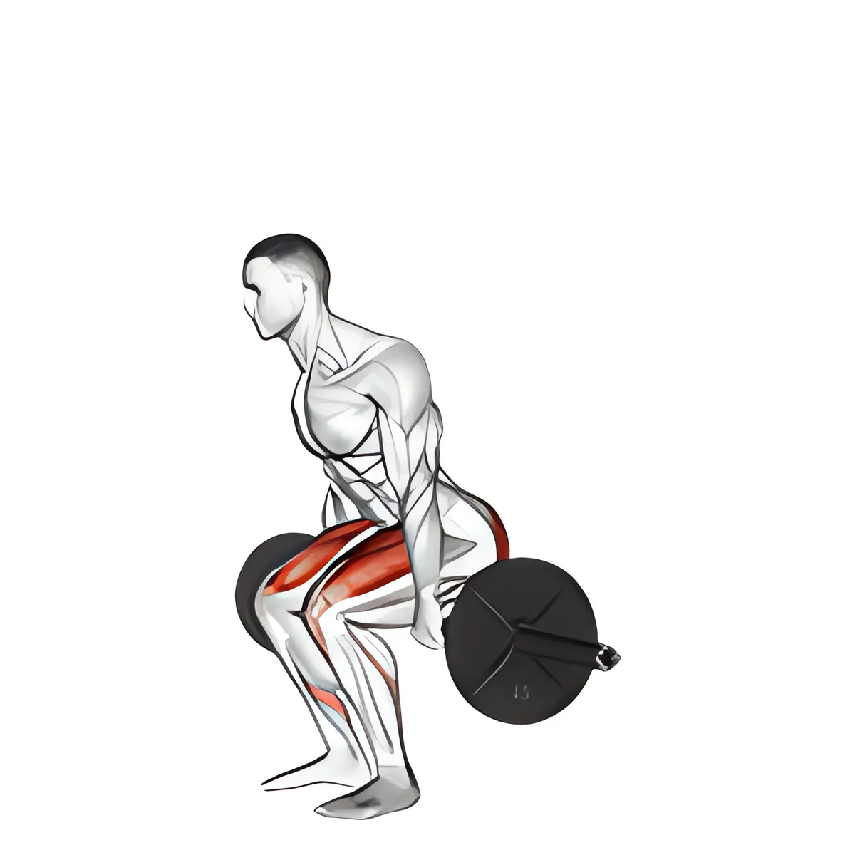 Thanh đòn hack squat