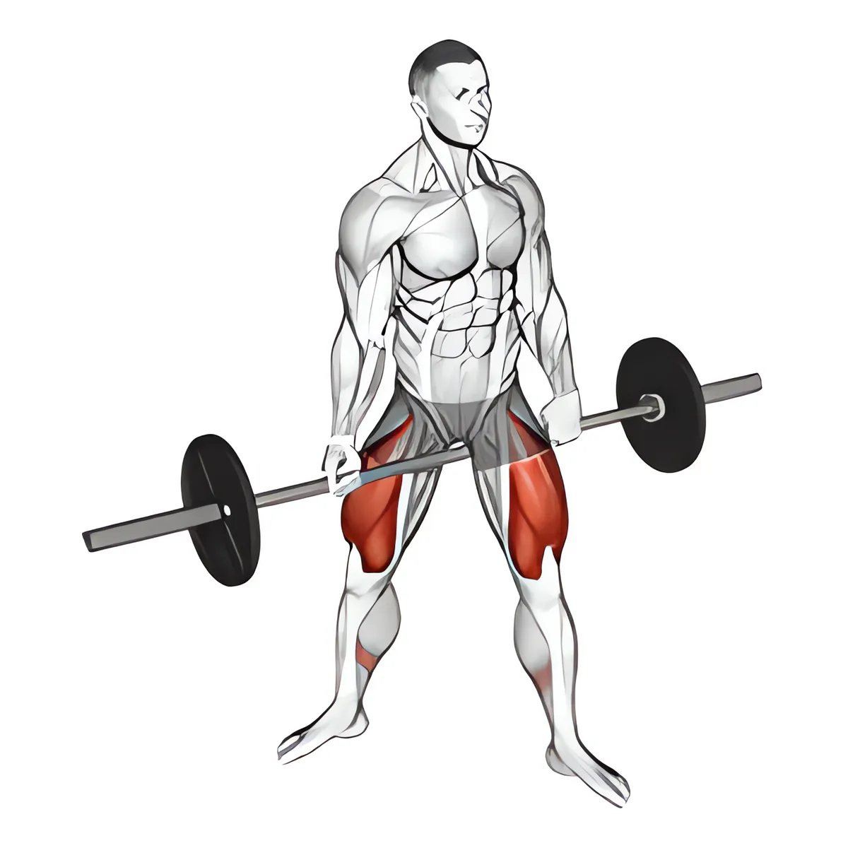 Thanh đòn jefferson squat