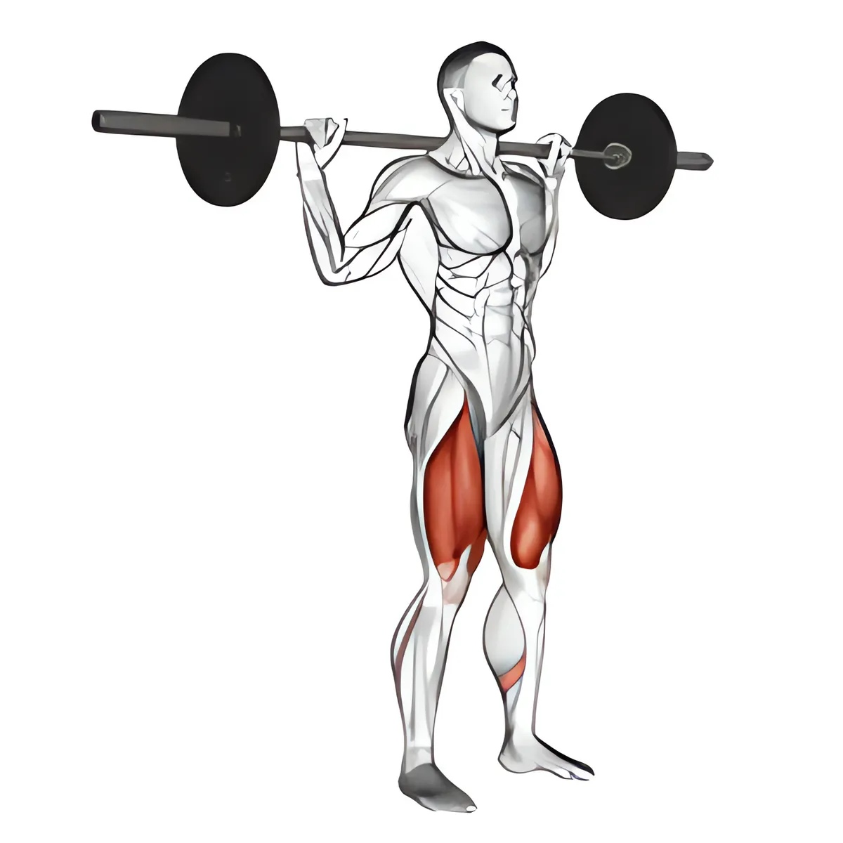 Squat tạ đòn chân hẹp