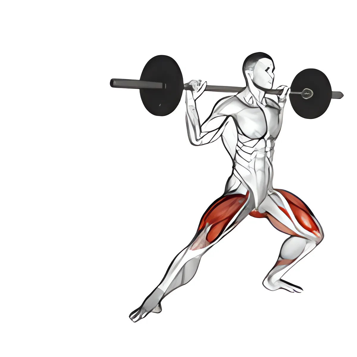 Thanh đòn bên squat tách chân
