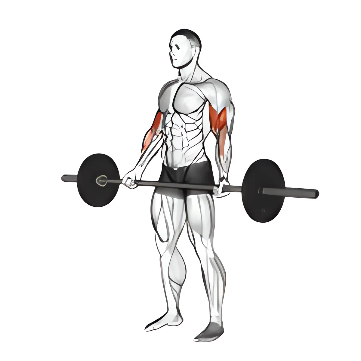 Thanh đòn đứng tay rộng cuốn tạ
