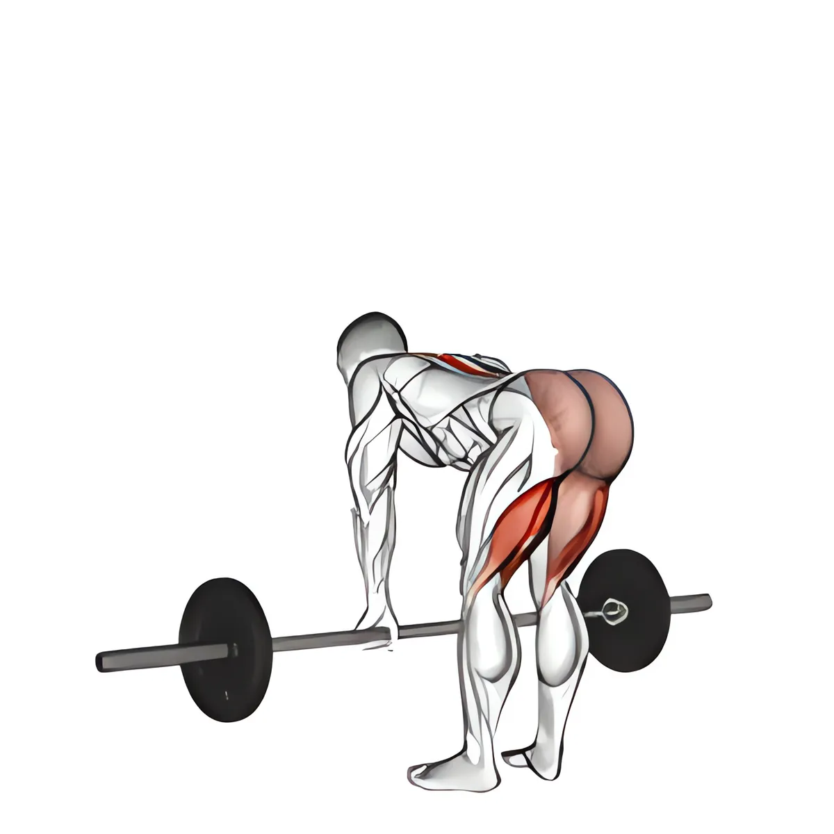 Thanh đòn deadlift chân thẳng