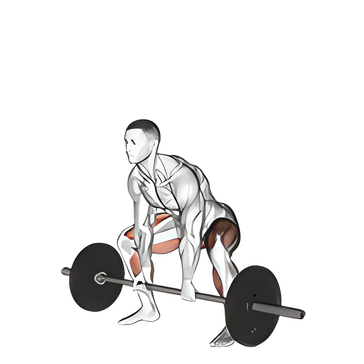 Thanh đòn sumo deadlift