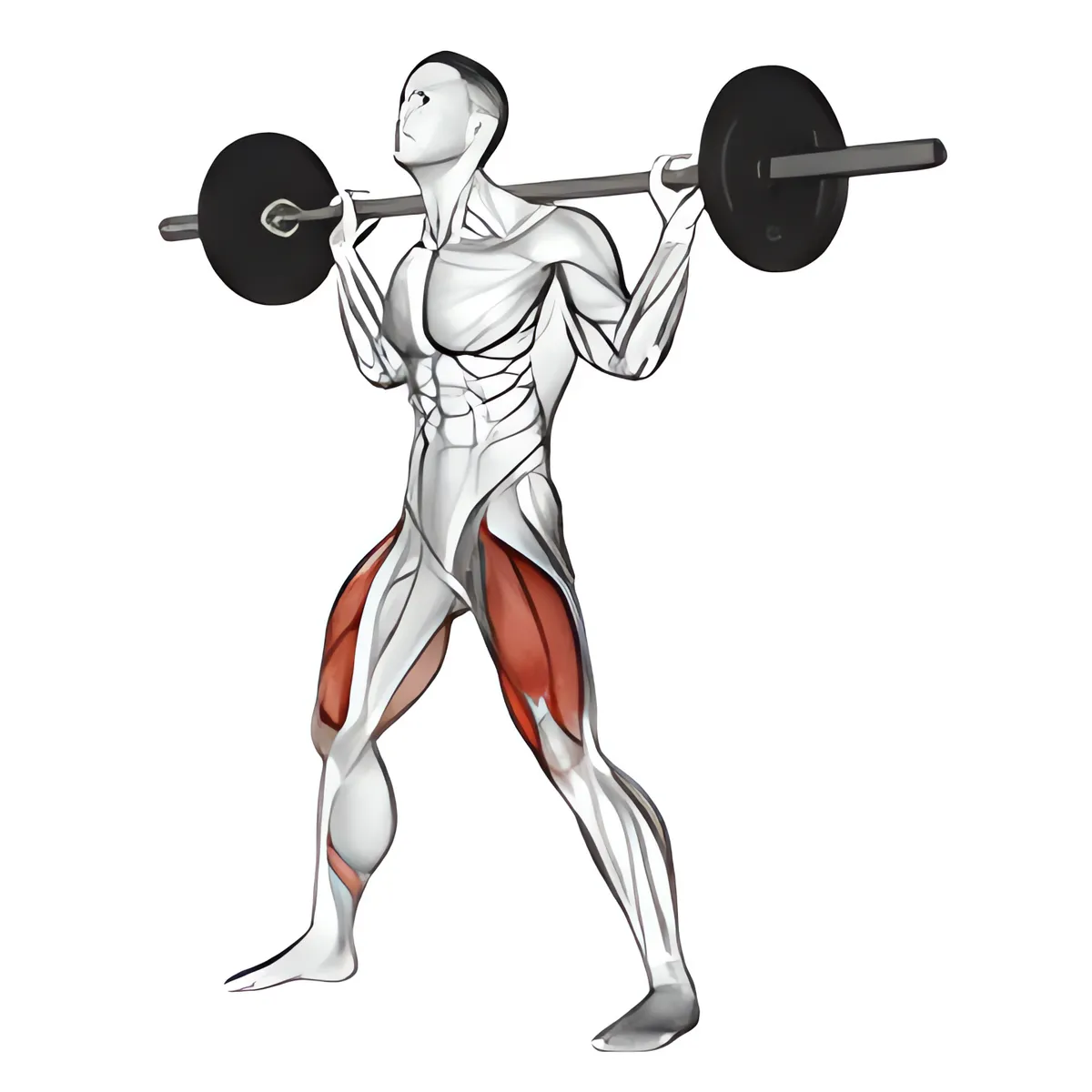 Thanh đòn rộng squat