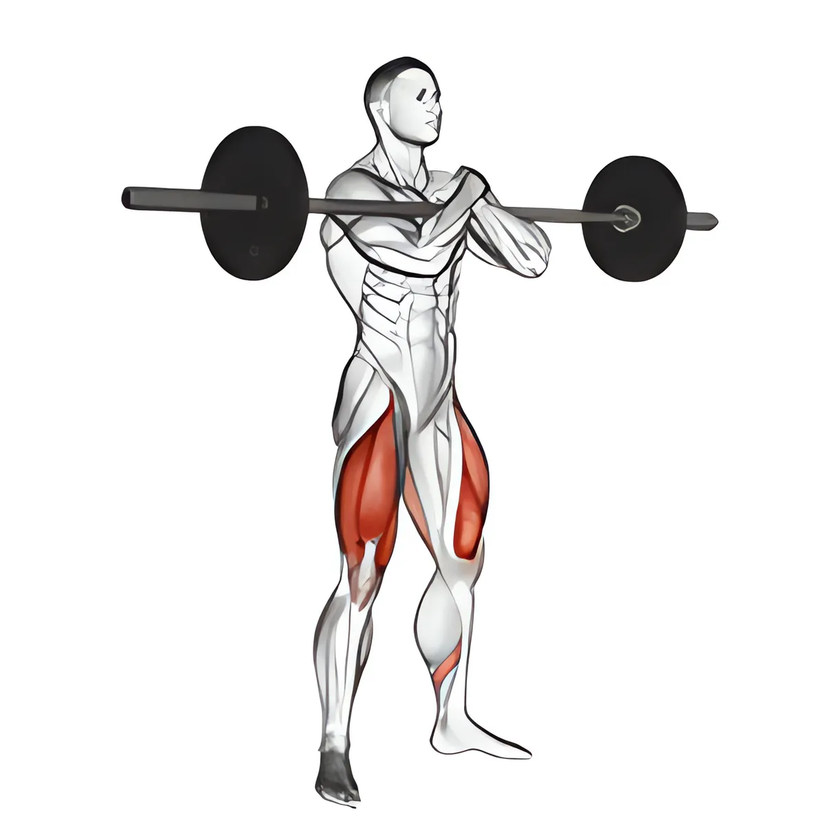 Thanh đòn zercher squat