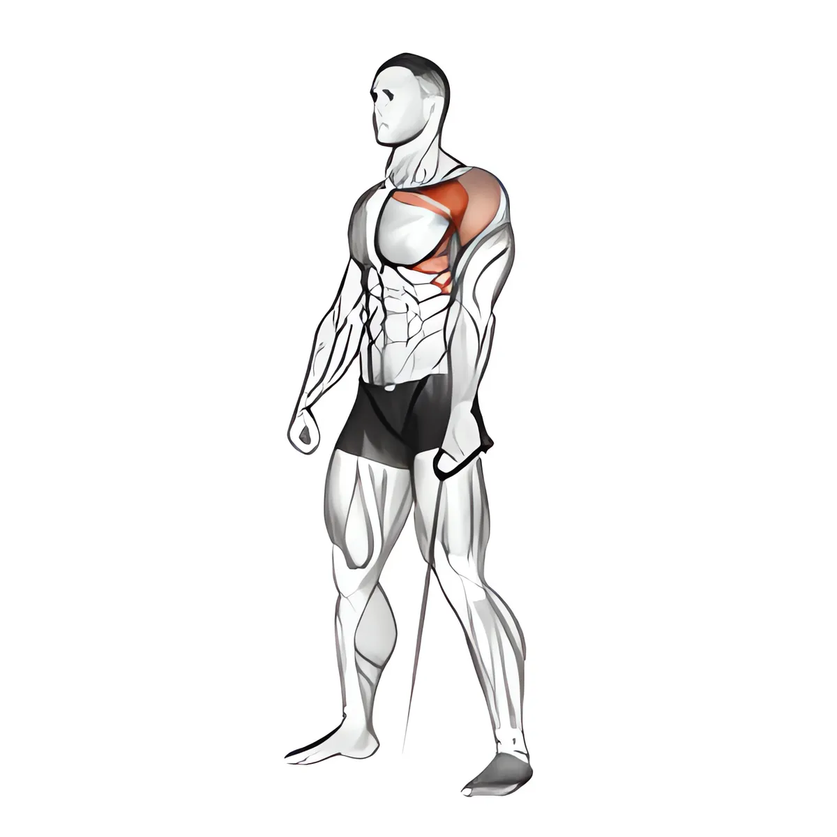 Cáp phía trước nâng