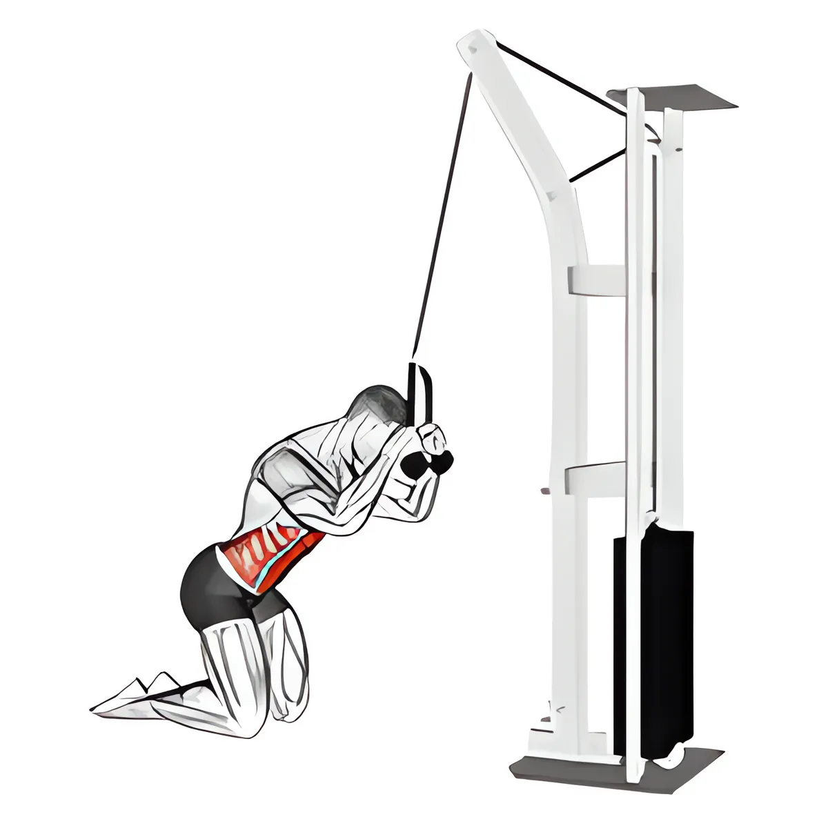 Cáp quỳ gập bụng