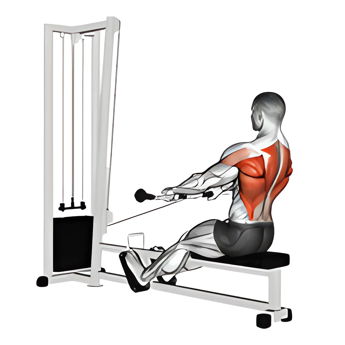 Cáp thấp kéo ngồi