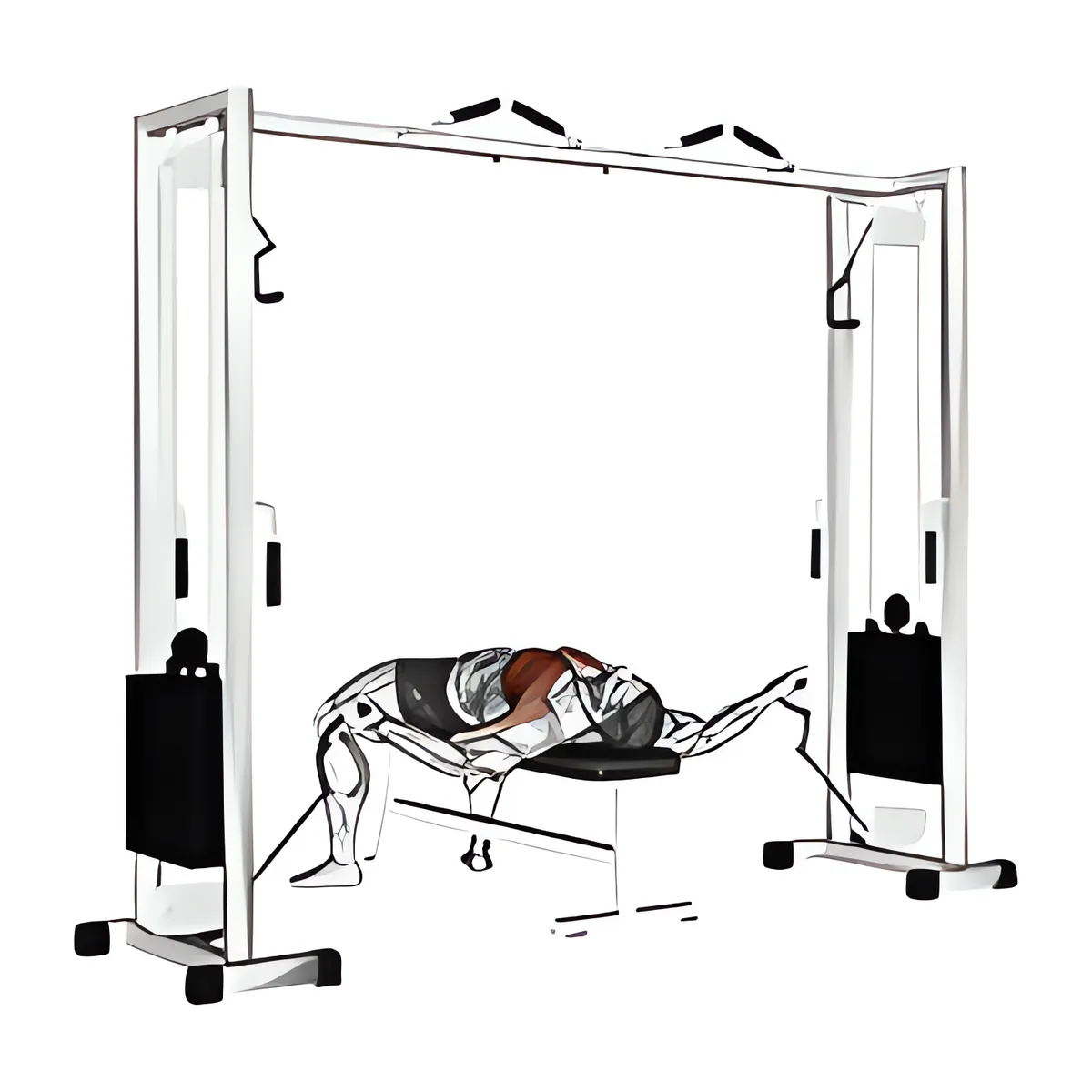 Cáp nằm ép ngực