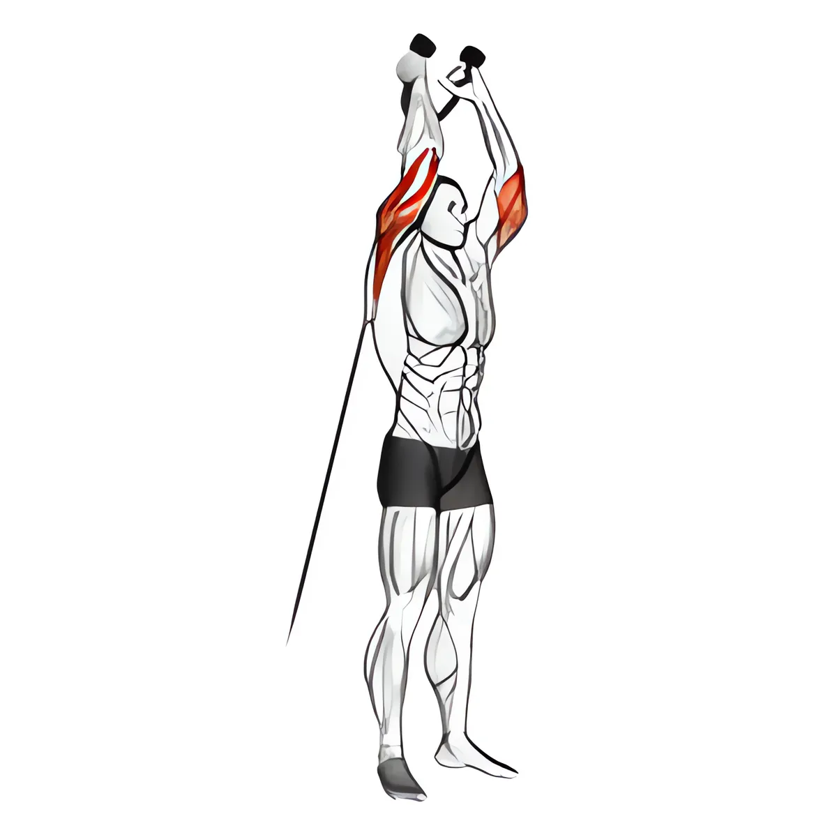 Cáp qua đầu duỗi tay sau (dây thừng tay cầm)