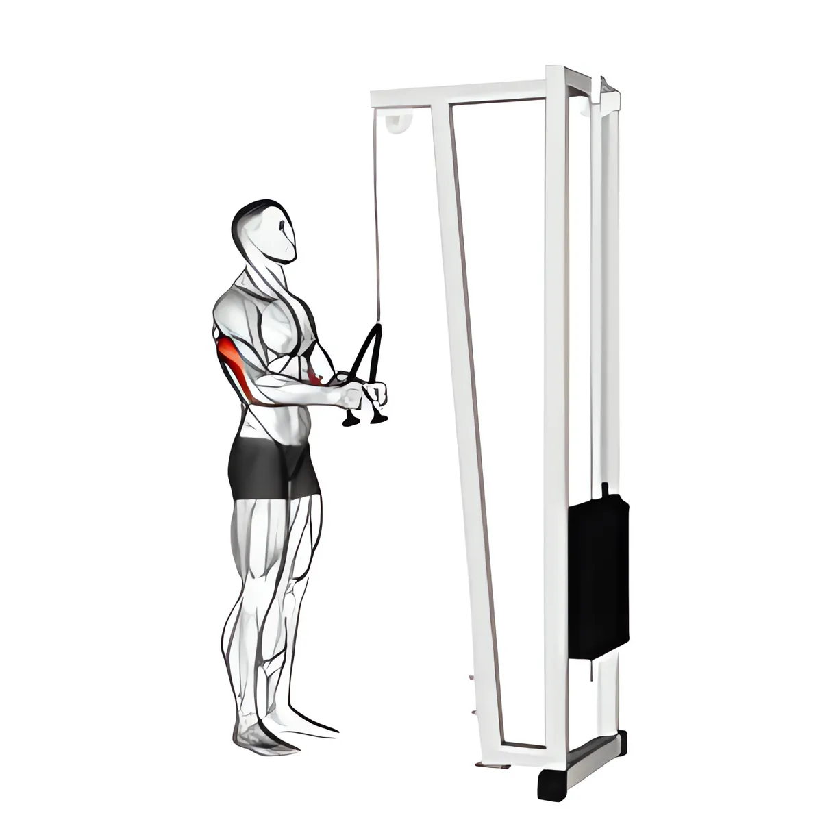 Cáp đẩy cáp xuống (với dây thừng tay cầm)