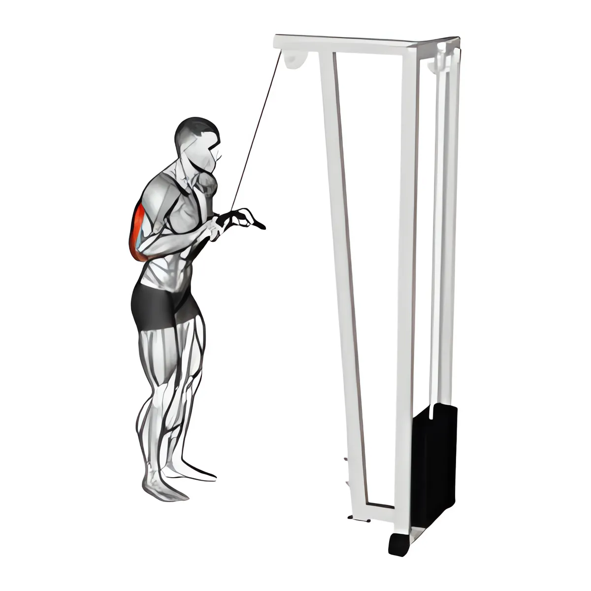 Cáp đẩy cáp xuống