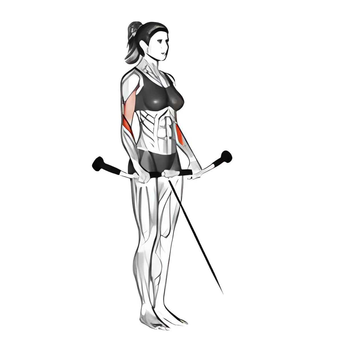 Cáp ngược cuốn tạ