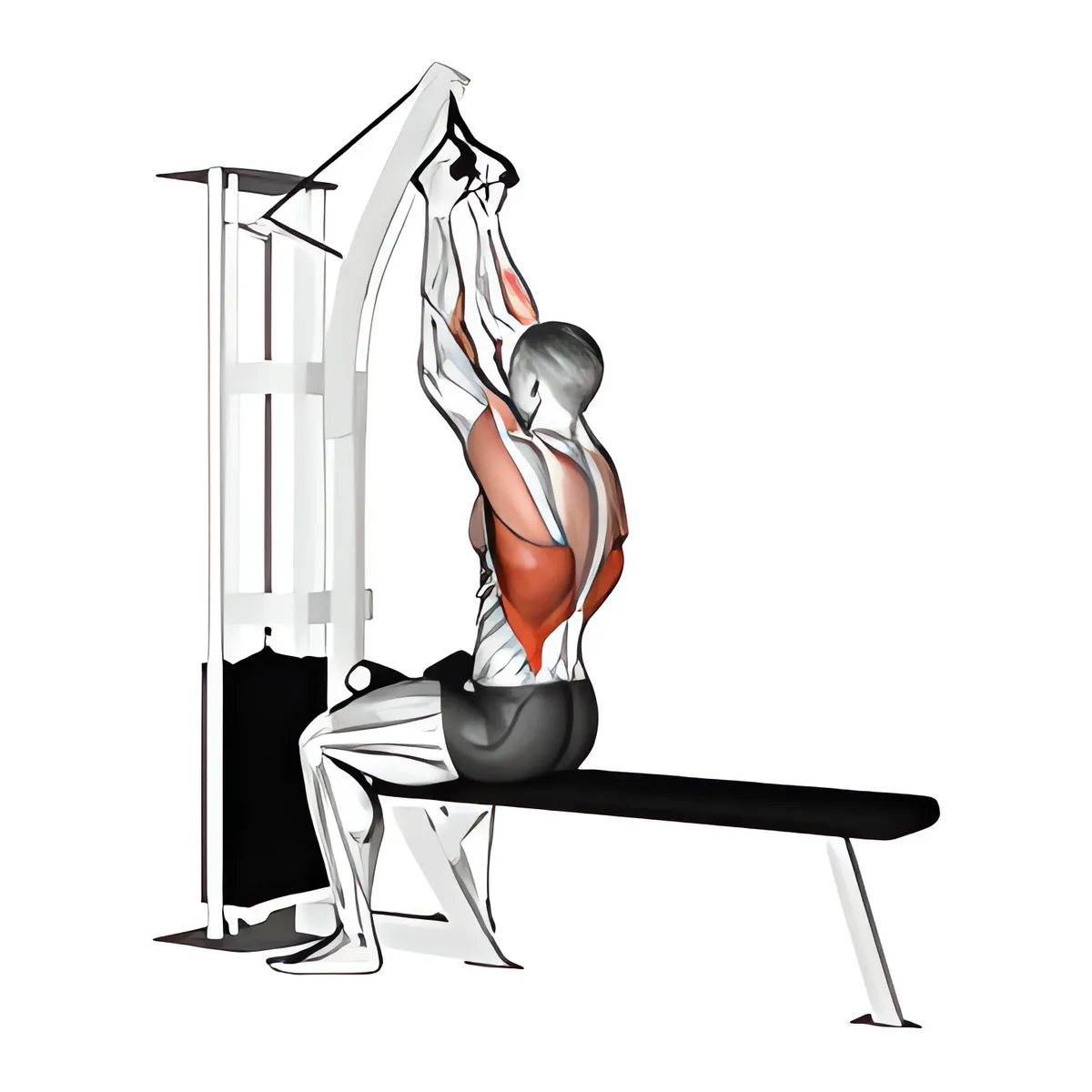Ngồi kéo cáp cao với tay cầm chữ V