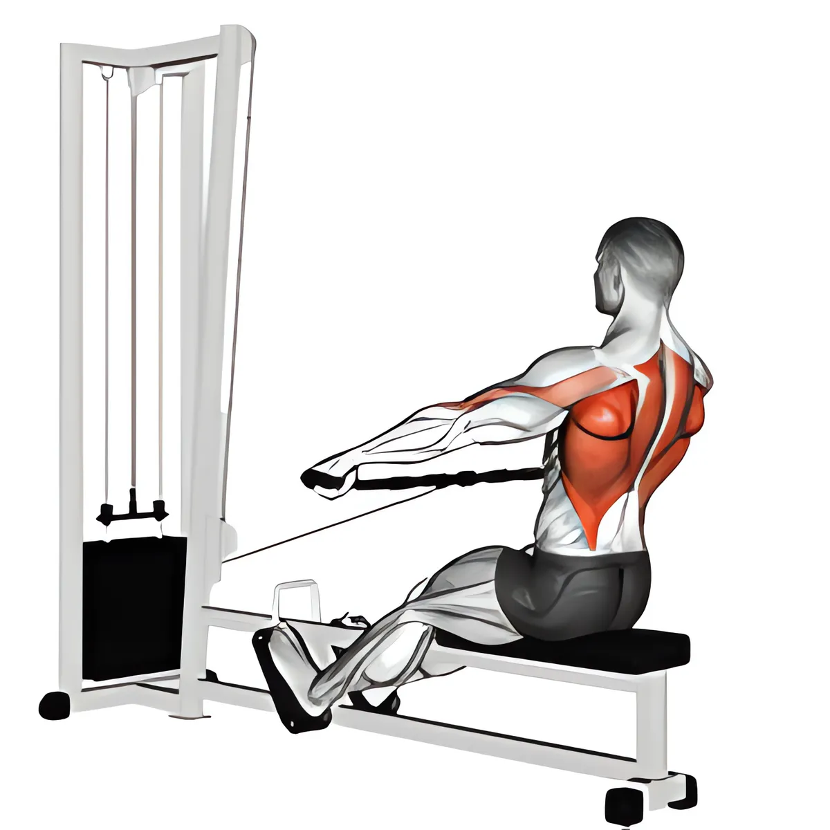 Cáp ngồi tay rộng kéo