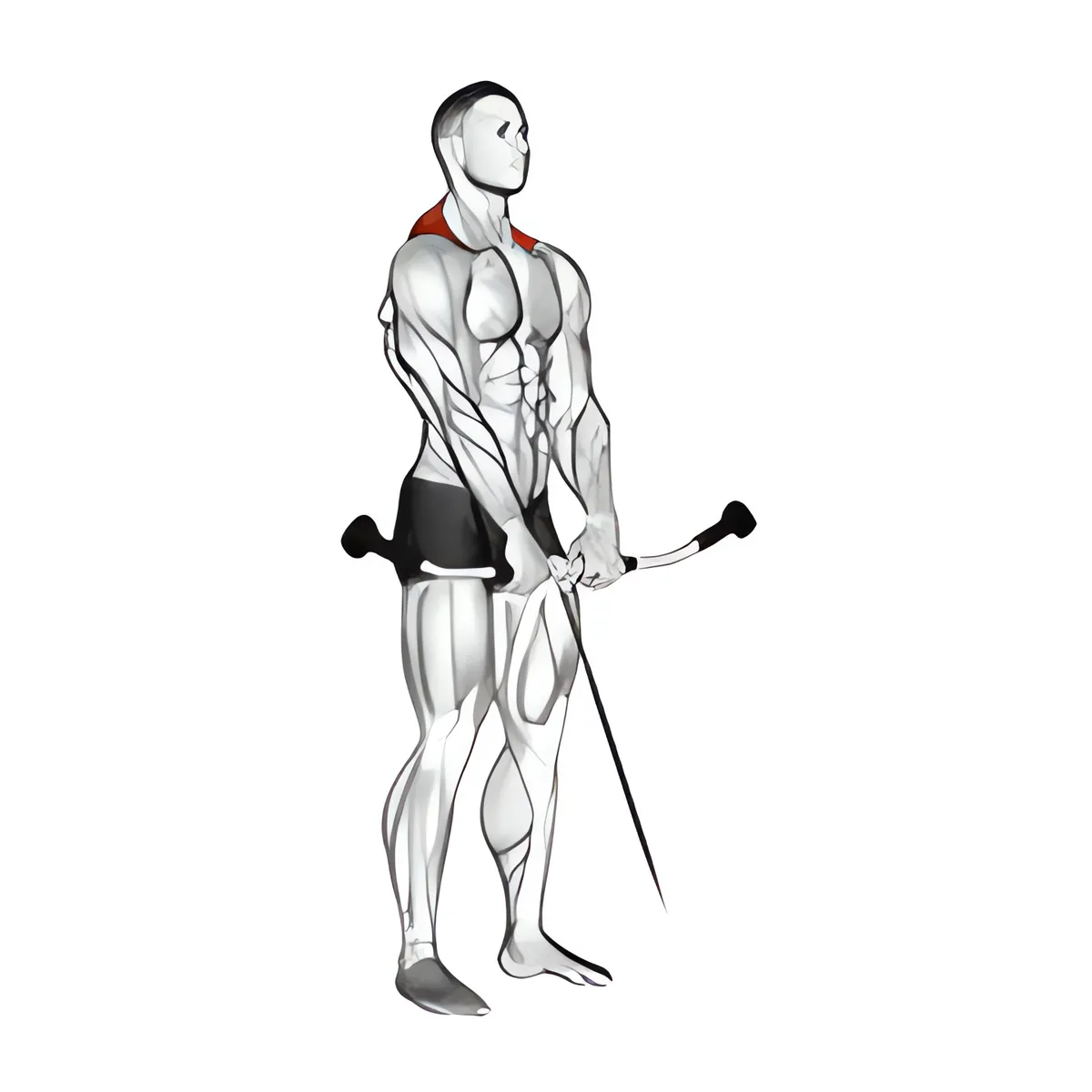 Cáp nhún vai
