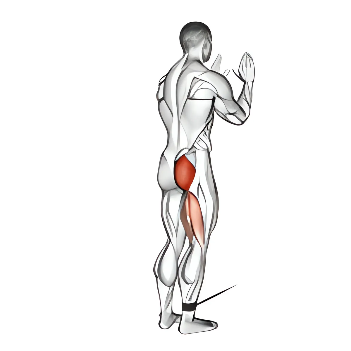 Cáp đứng duỗi hông