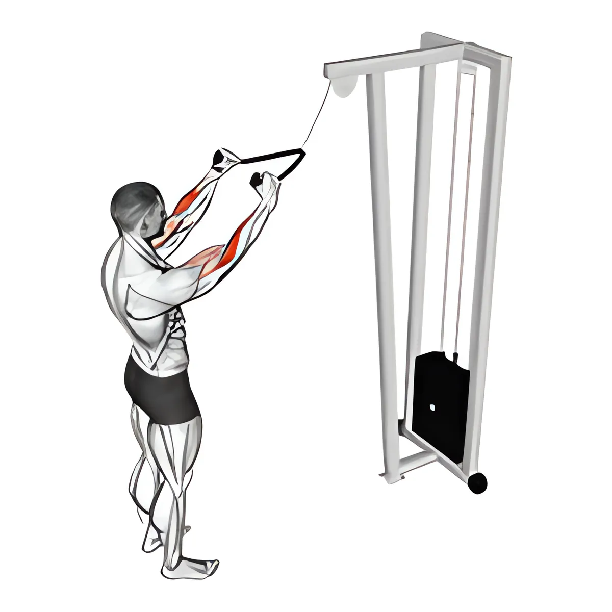 Cáp đứng kéo xô (với dây thừng)