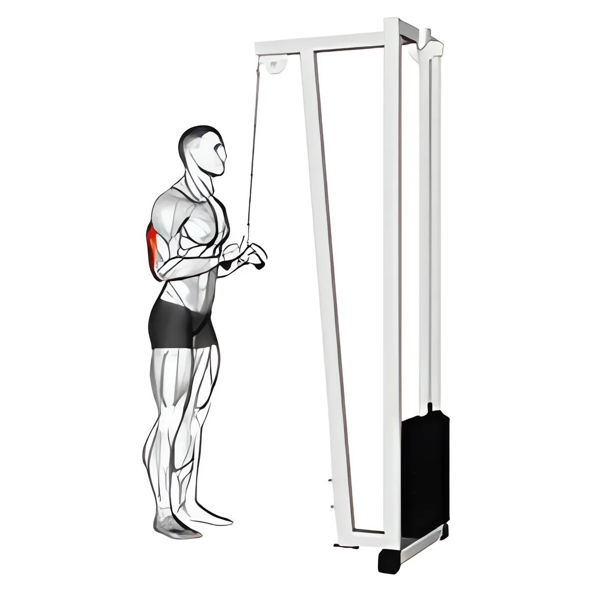Đẩy cáp tay sau xuống với tay cầm chữ V