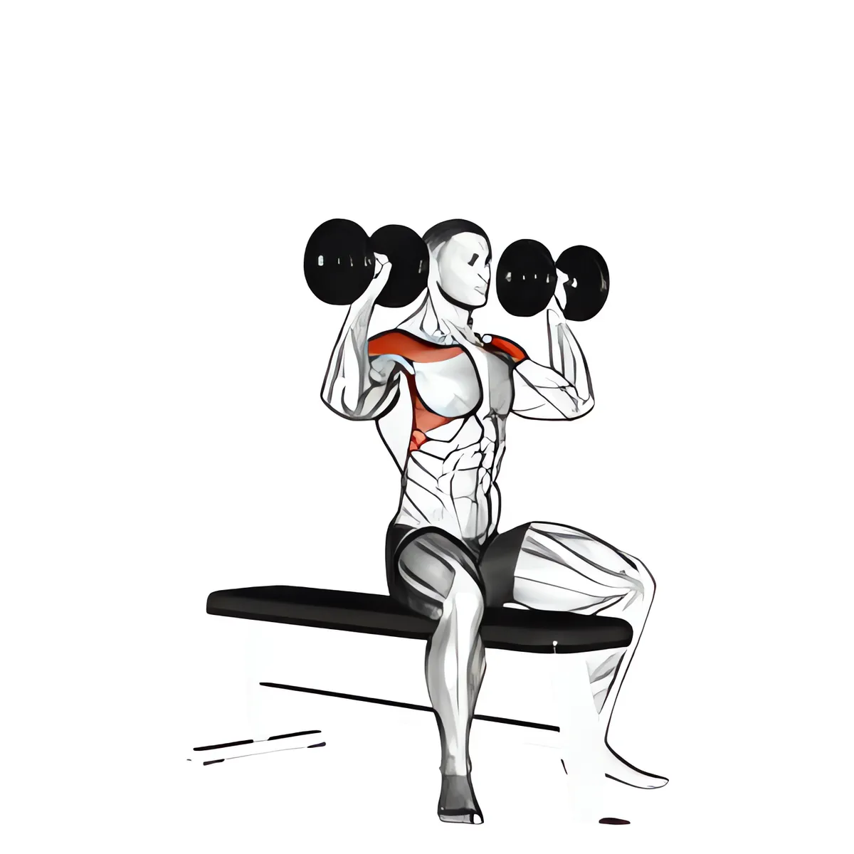 Tạ đơn ghế ngồi đẩy