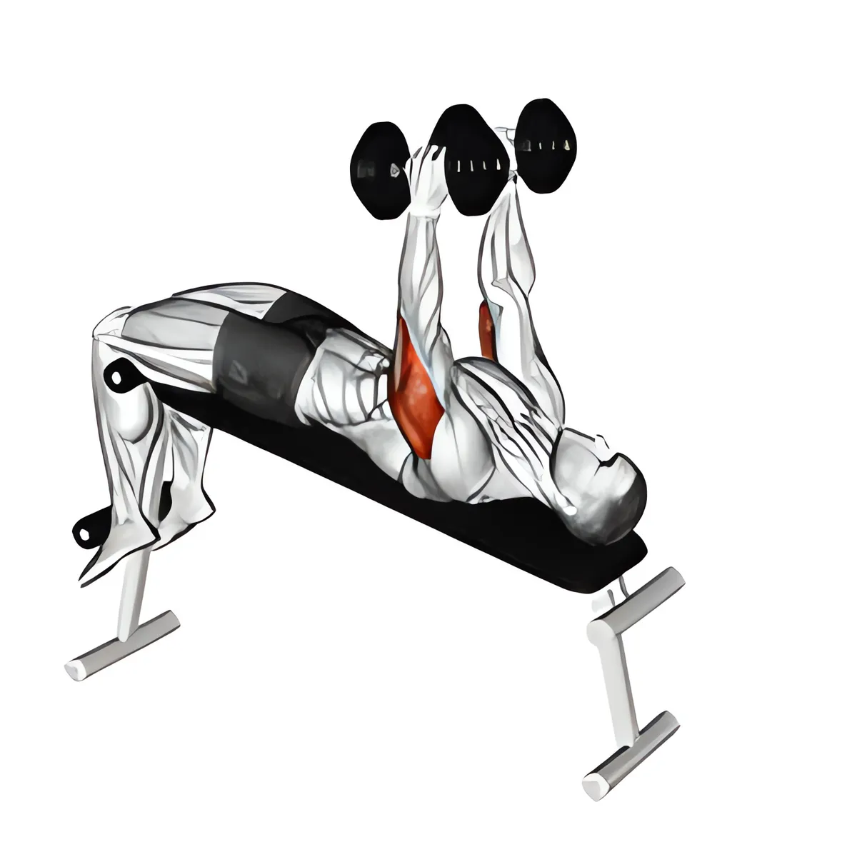 Tạ đơn ghế dốc xuống duỗi tay sau