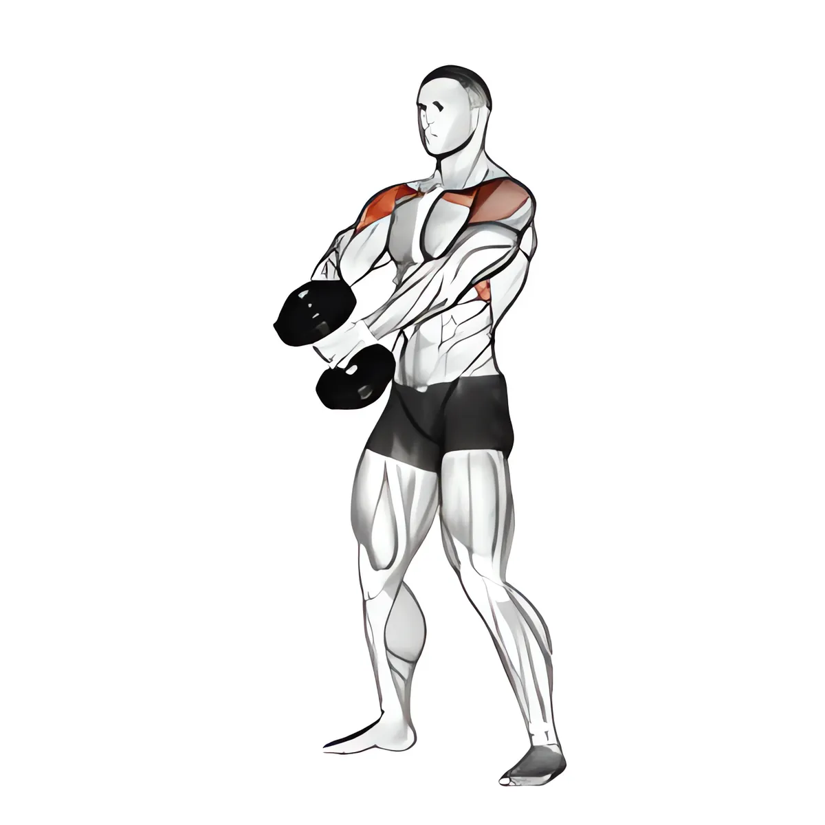 Tạ đơn nâng vai trước biến thể 2