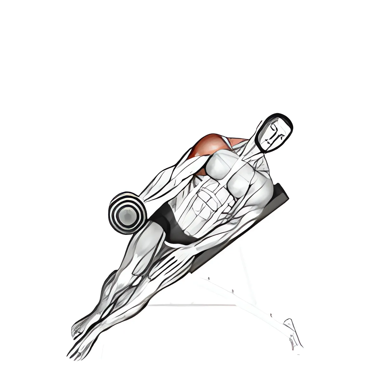 Tạ đơn ghế dốc lên một tay nâng vai ngang