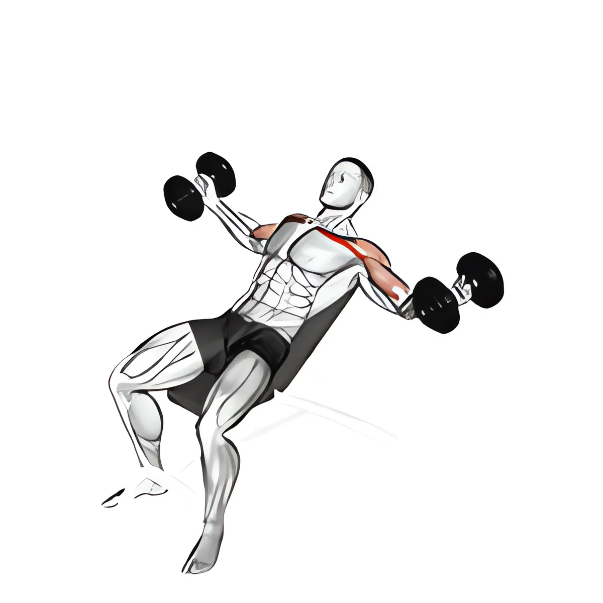 Ép ngực xoay tạ đơn trên ghế dốc