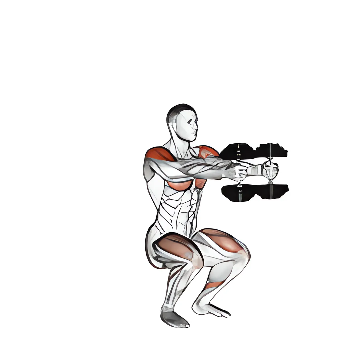Tạ đơn tư thế thập tự