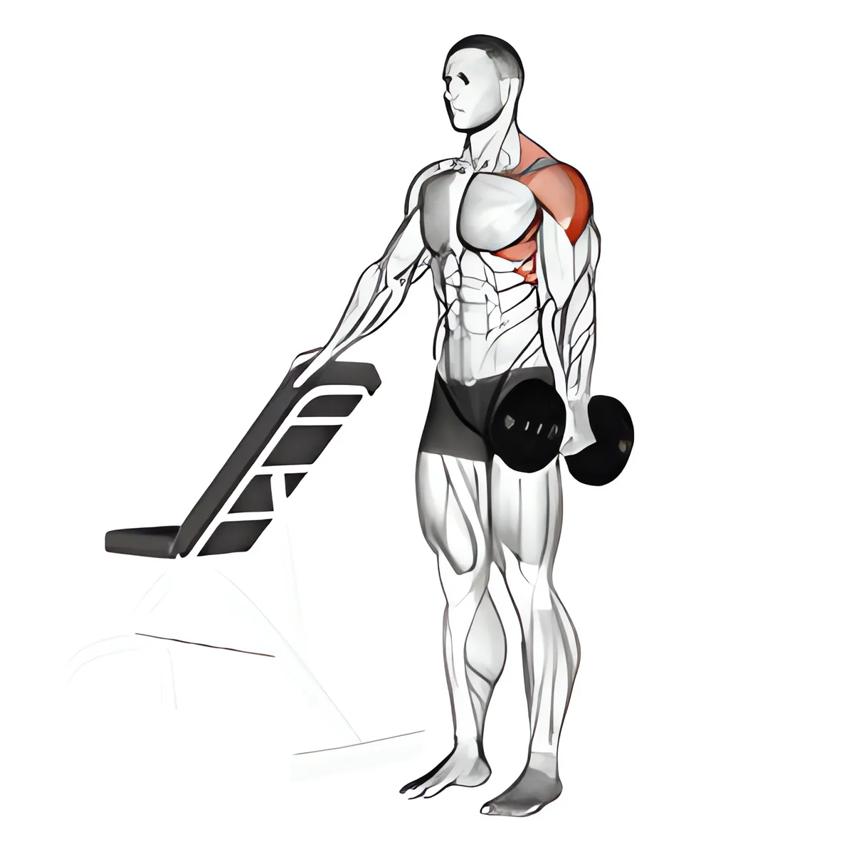 Tạ đơn một tay nâng vai ngang với hỗ trợ