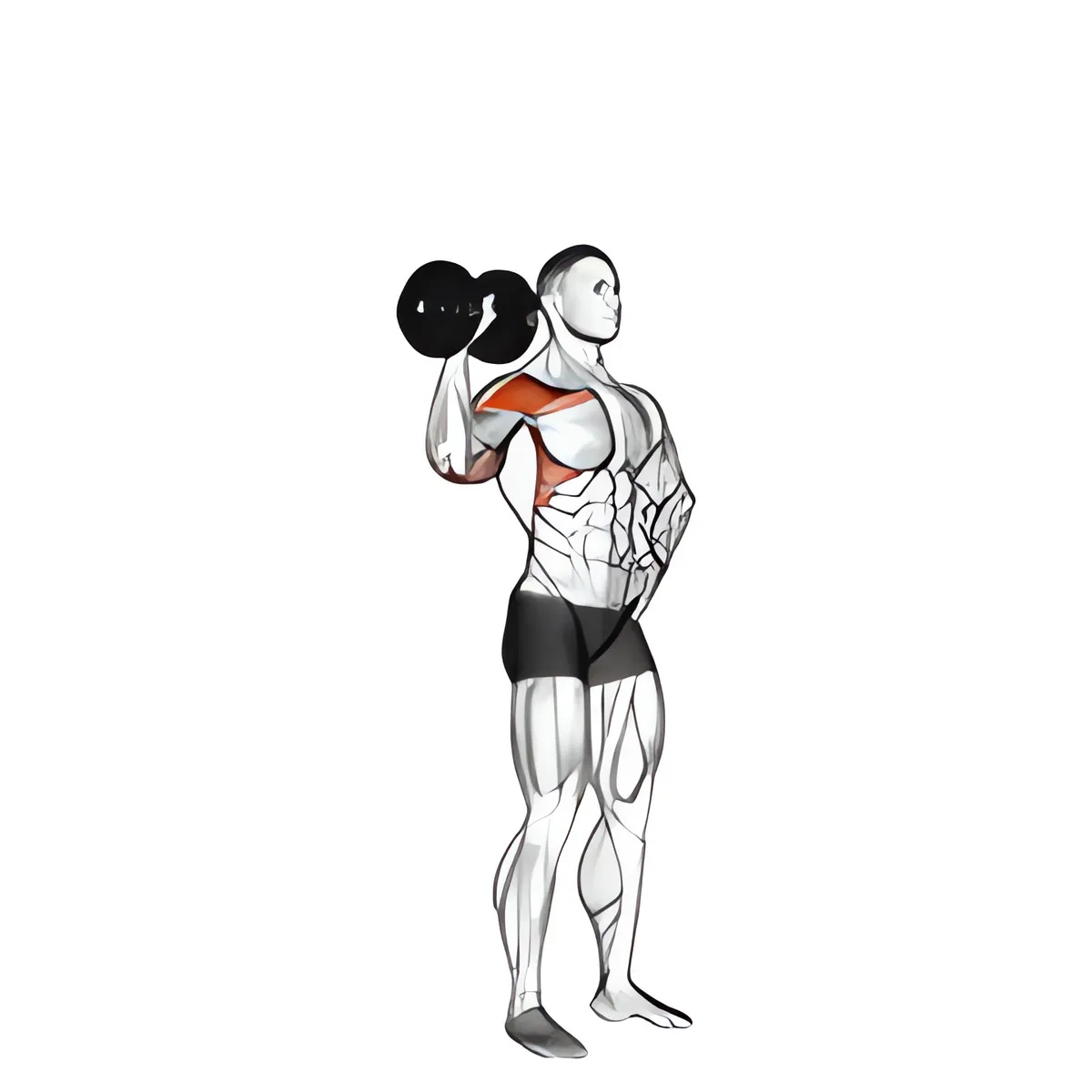 Tạ đơn một tay đẩy vai biến thể 2