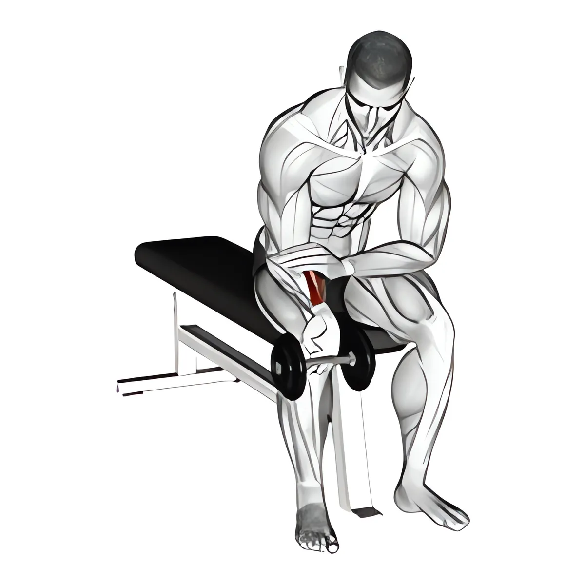 Tạ đơn một tay cuốn cổ tay