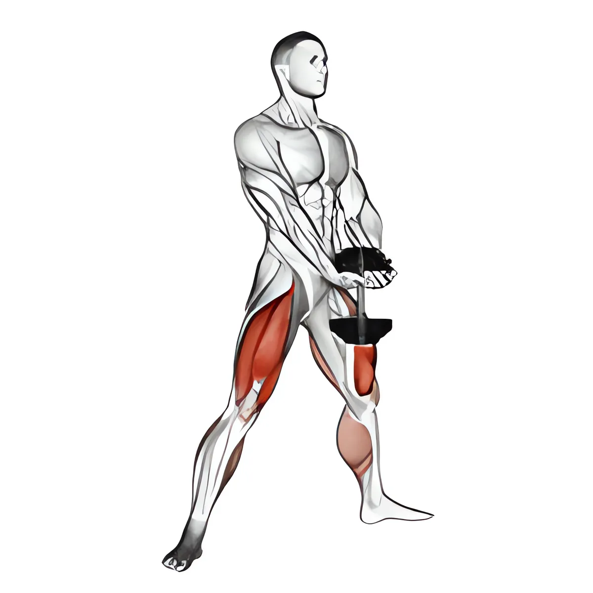 Tạ đơn plyo squat