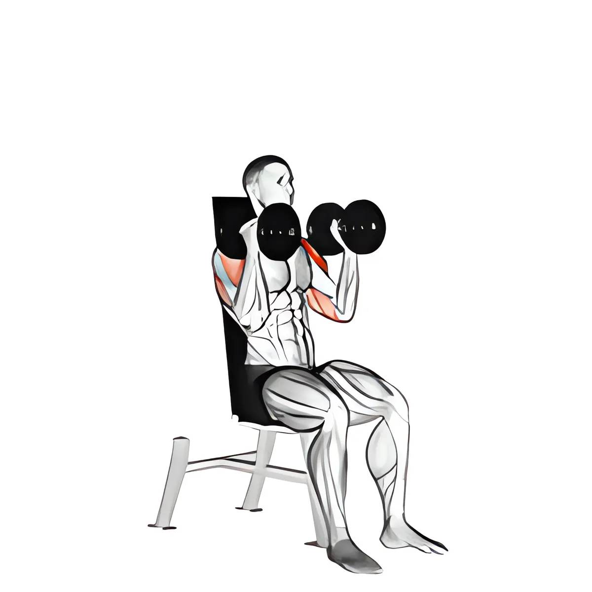 Tạ đơn ngồi luân phiên đẩy