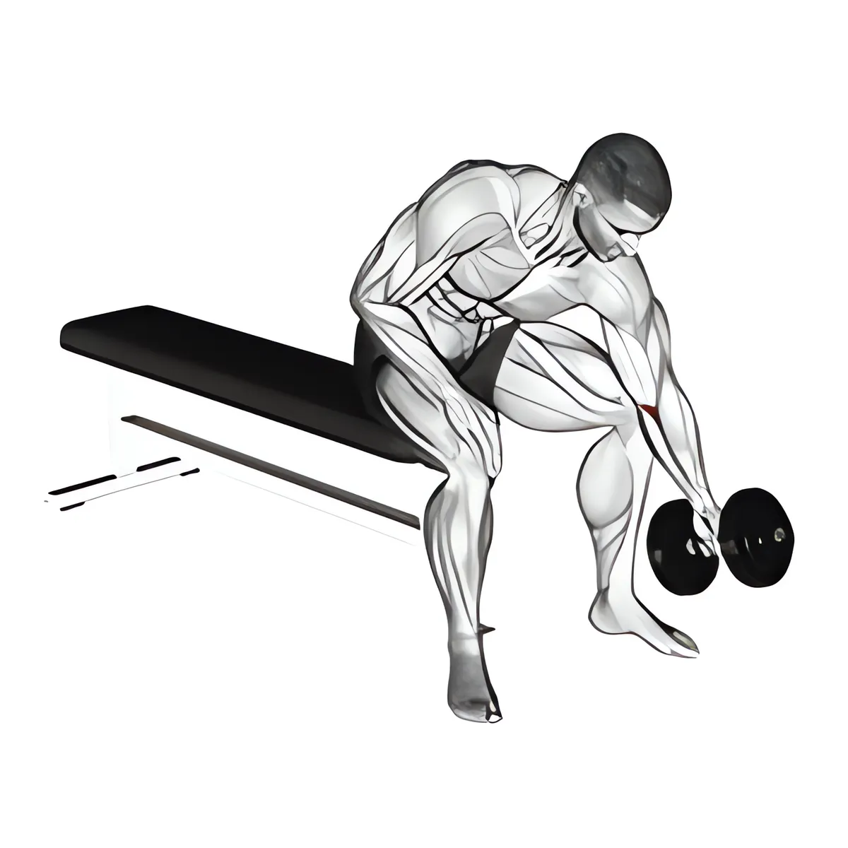 Ngồi xoay tạ đơn một tay