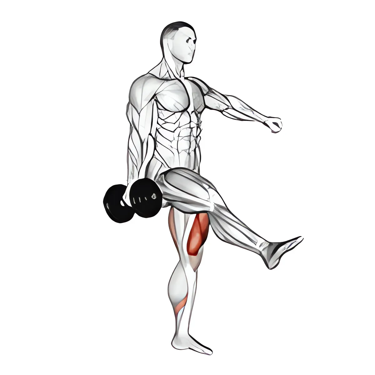 Tạ đơn một chân squat
