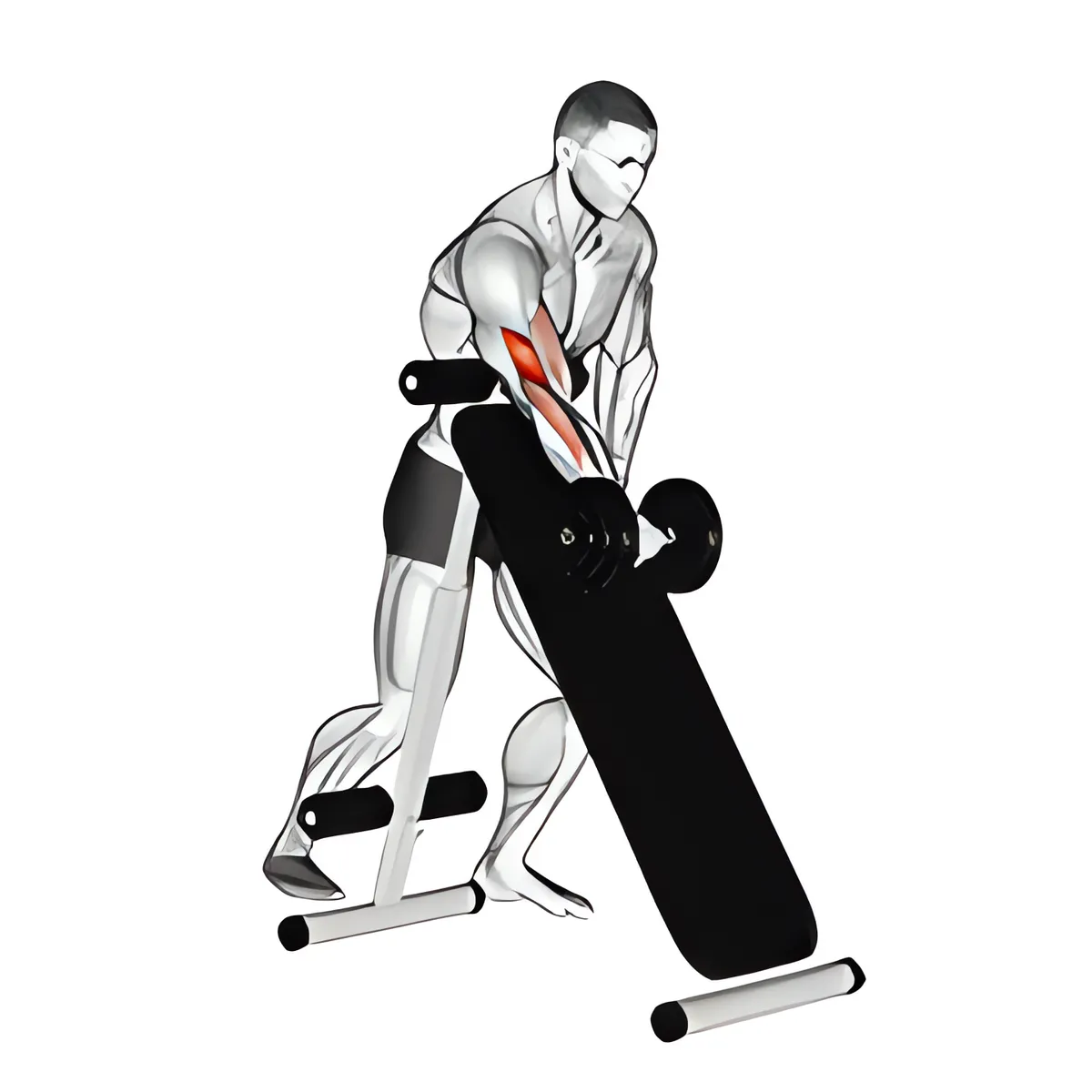 Đứng cuốn tạ đơn một tay trên ghế dốc