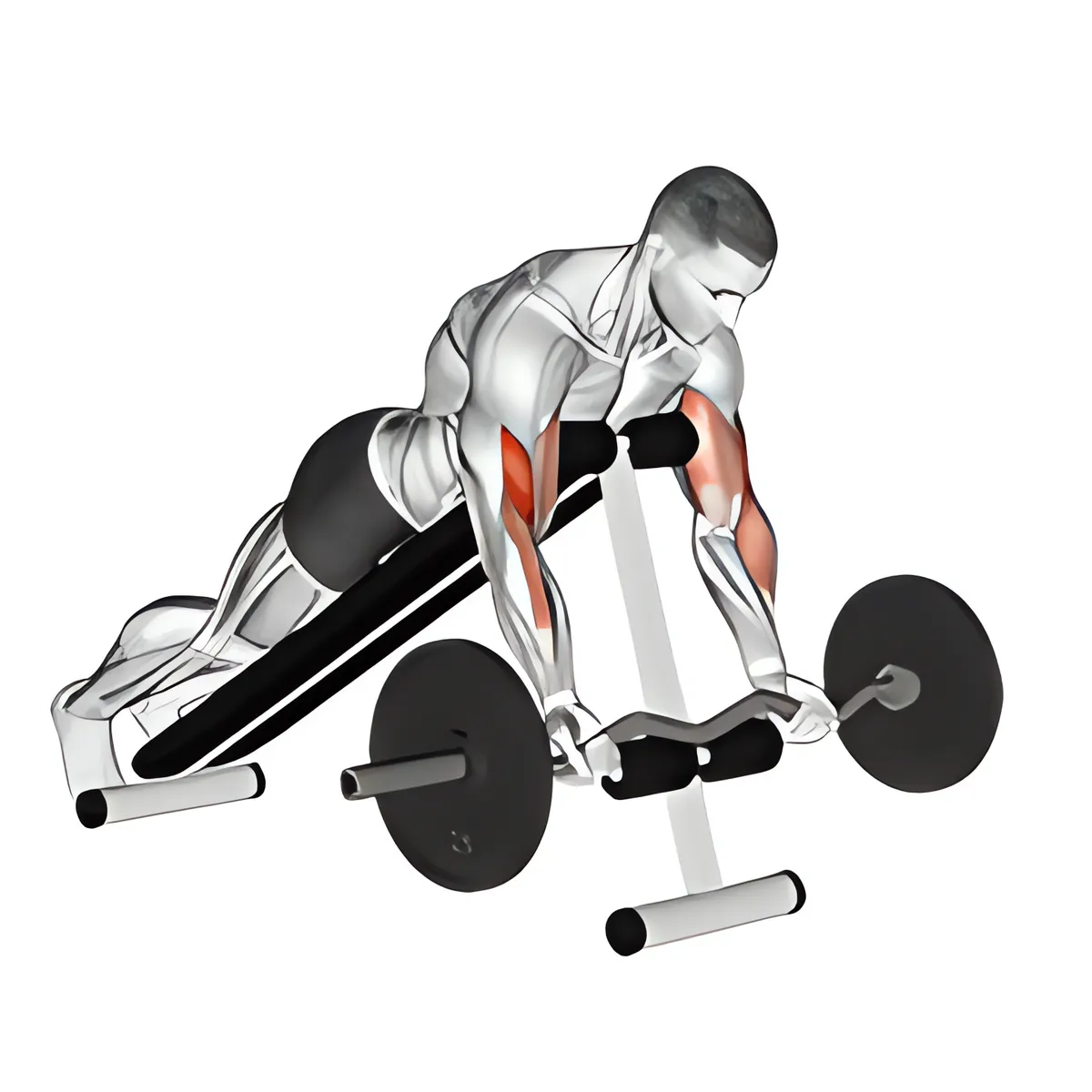Cuốn tay trước úp ngực trên ghế dốc với thanh EZ