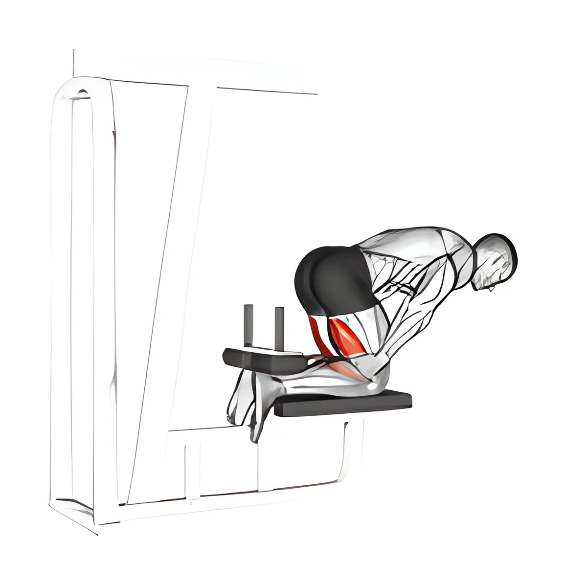 ngược gập gối (ghế hỗ trợ)