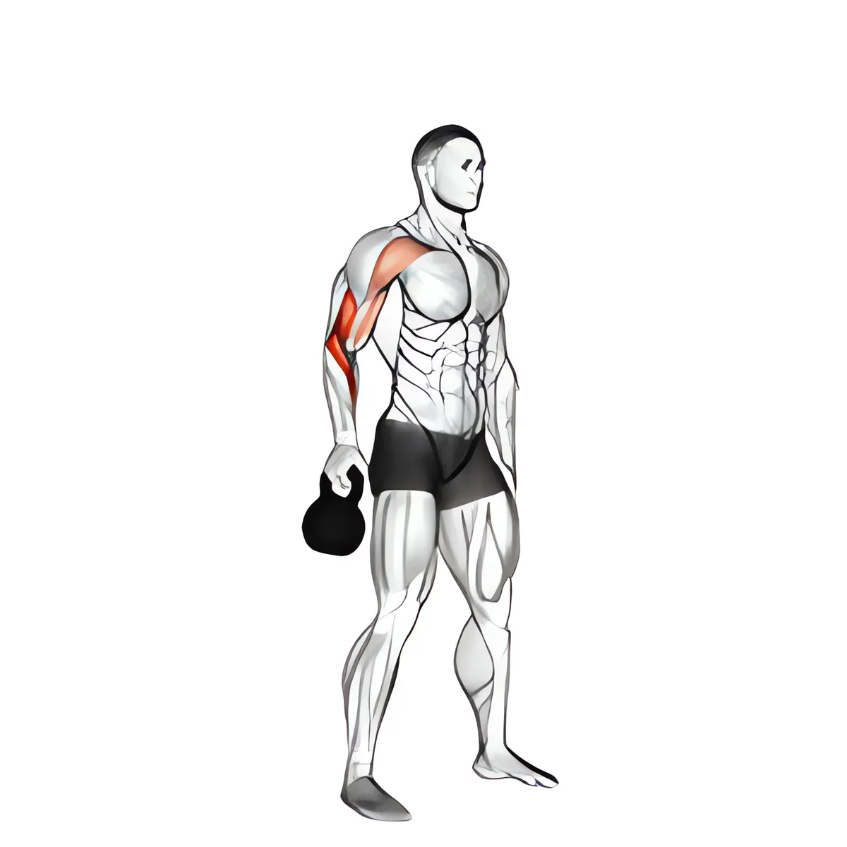 Đưa tạ chuông đáy hướng lên từ tư thế treo