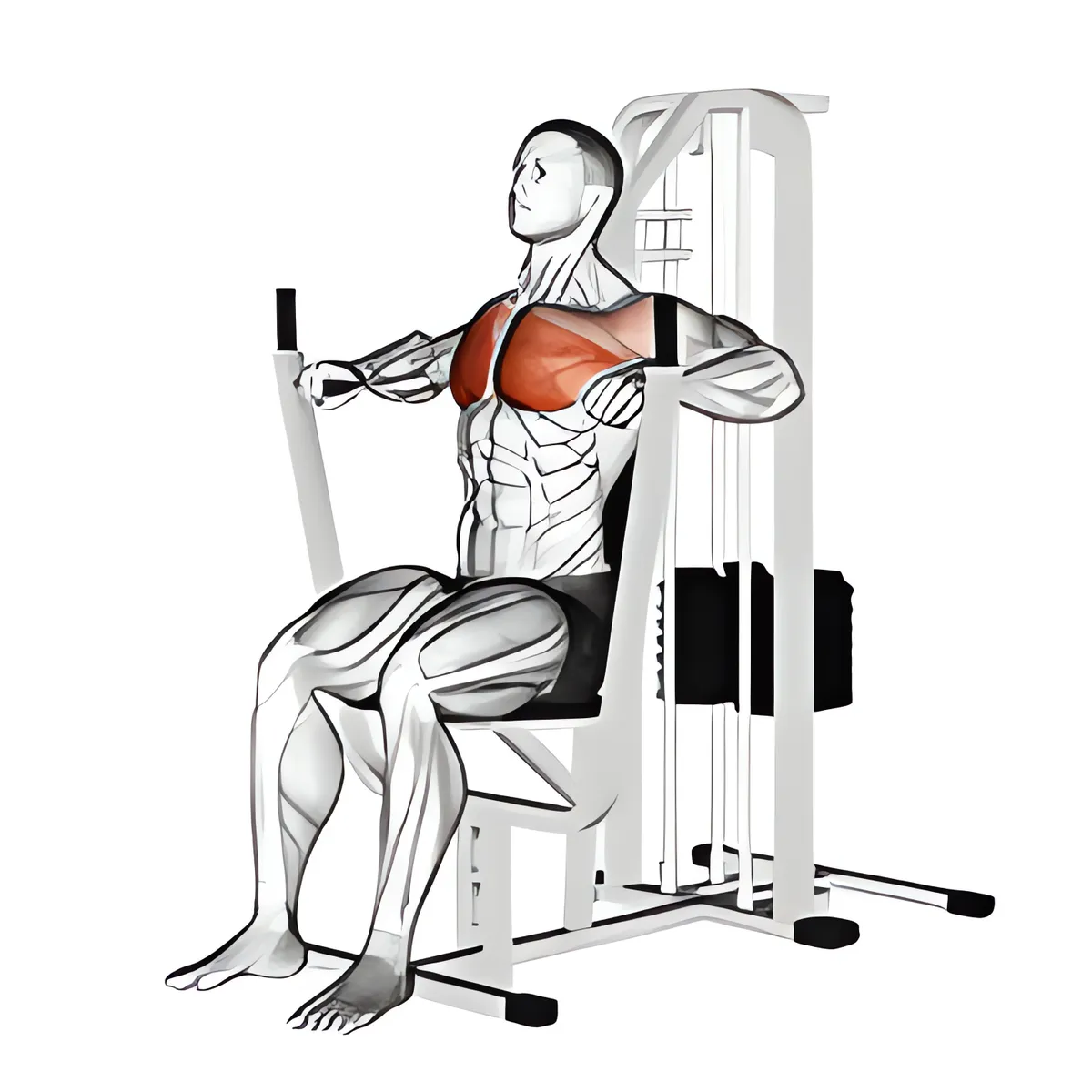 Đẩy ngực trên máy, tay cầm trung lập