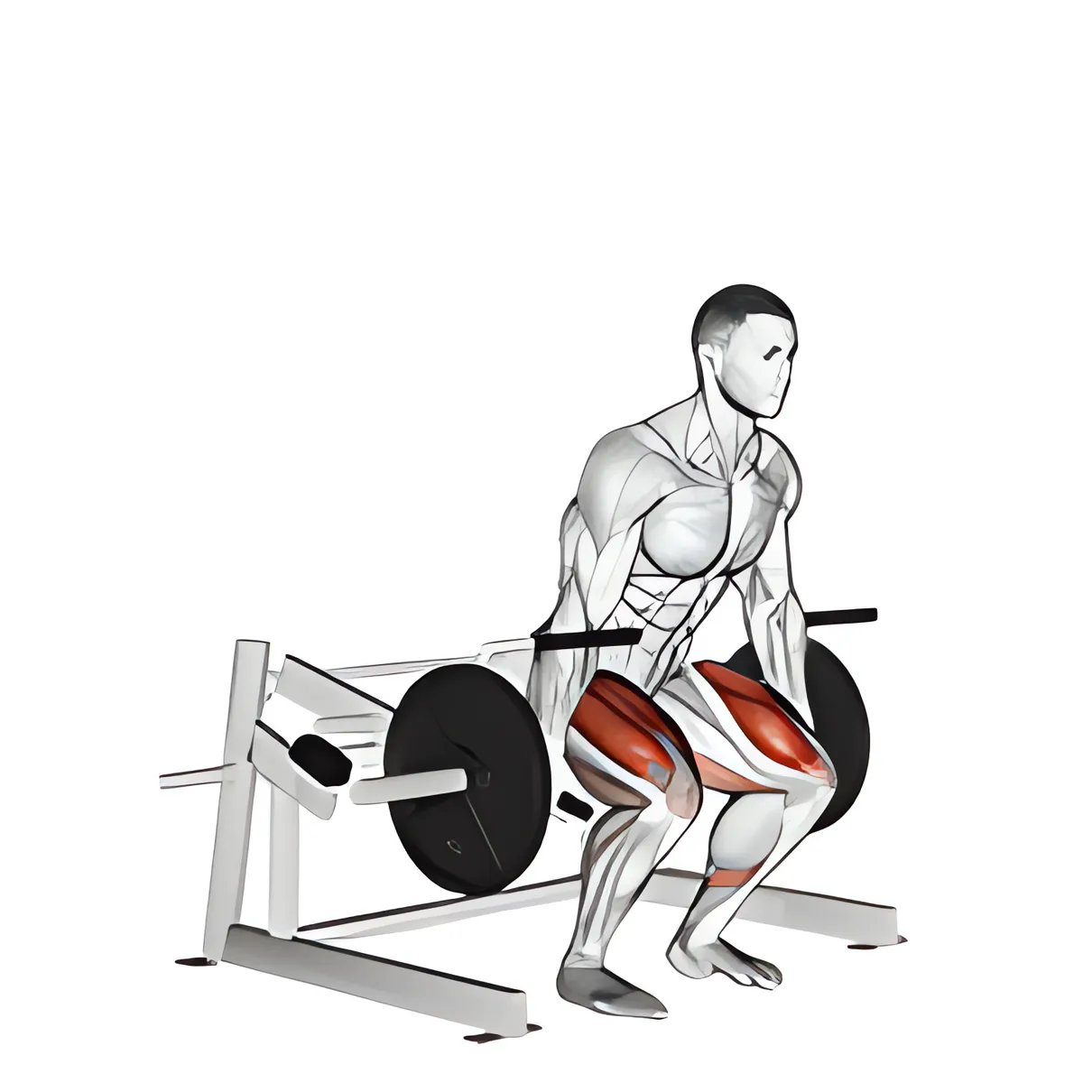 Máy deadlift