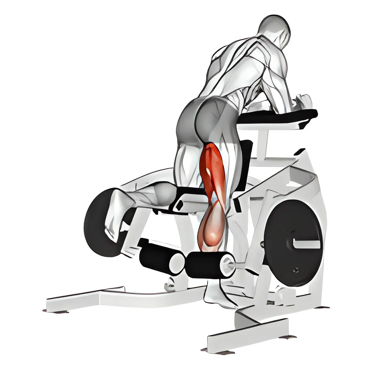 Máy quỳ gập gối