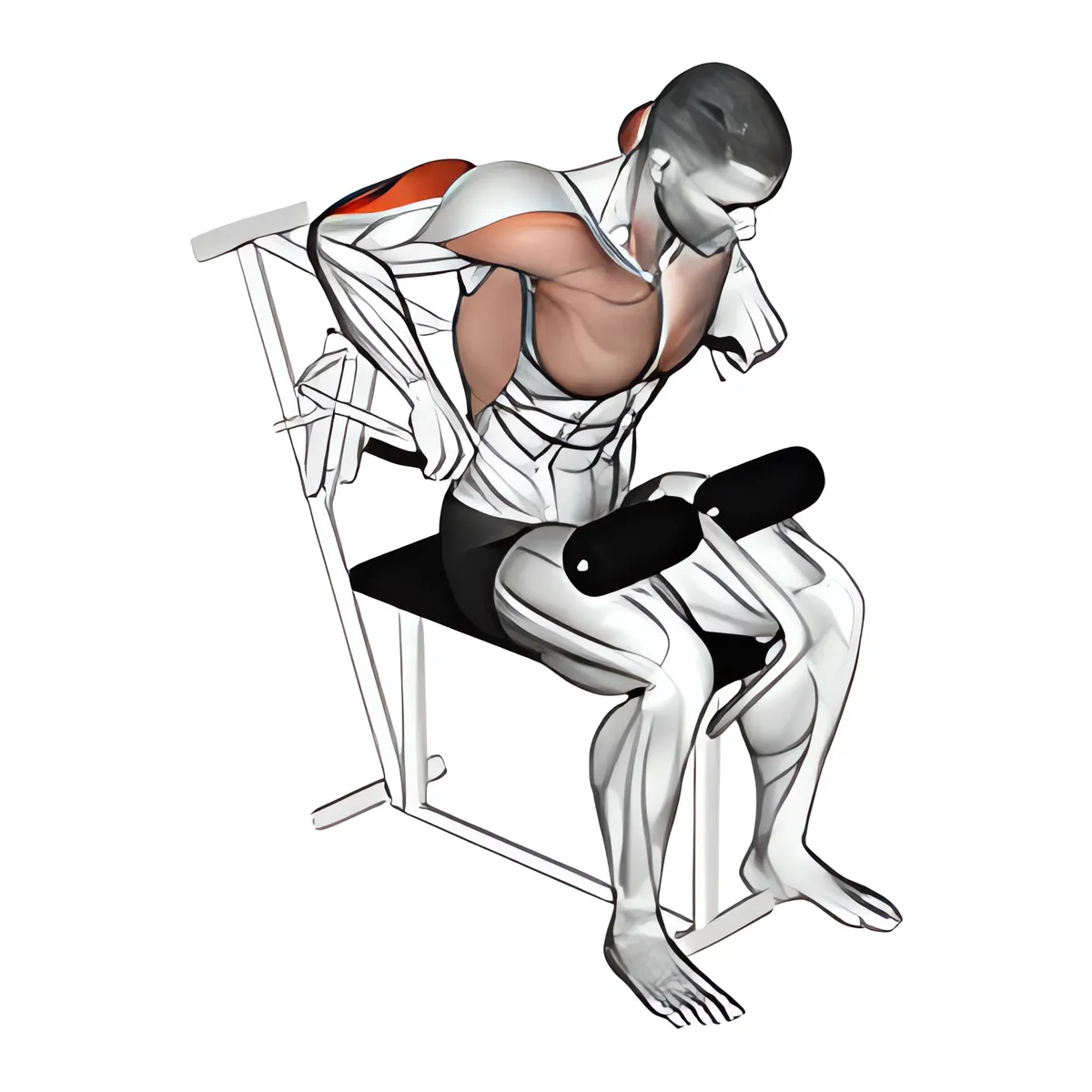 Máy tay sấp tay sau nhúng người