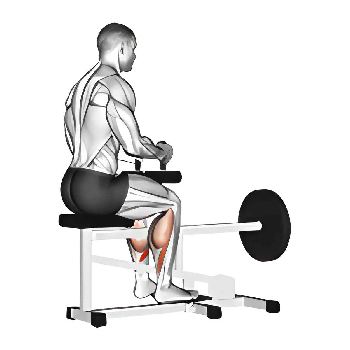 Máy ngồi nhón bắp chân