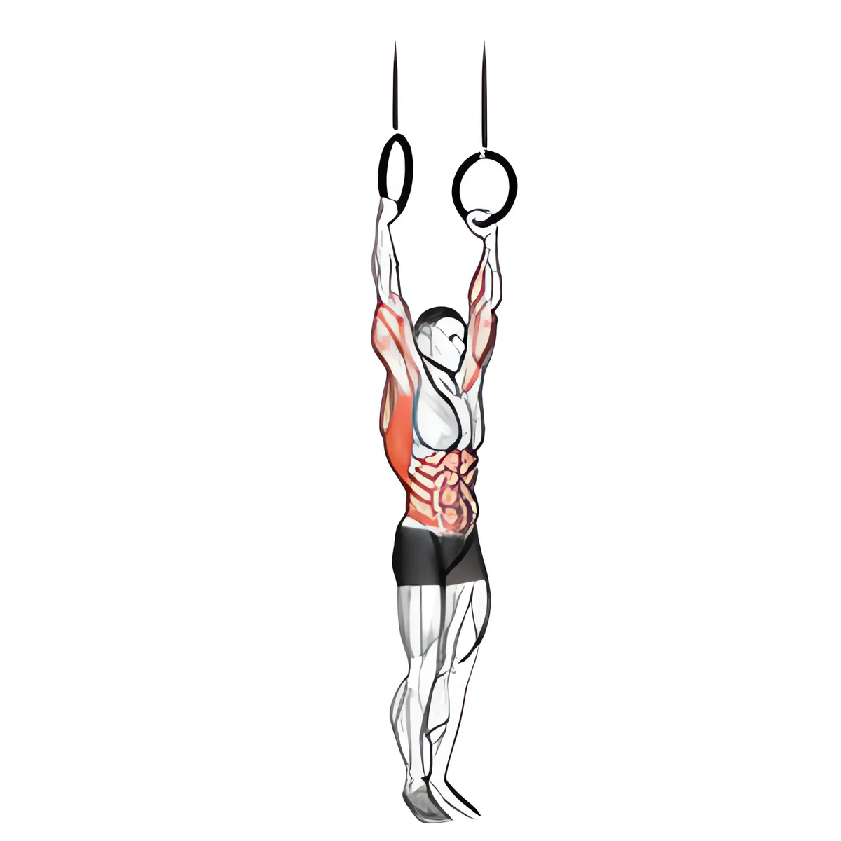 Muscle-up trên xà