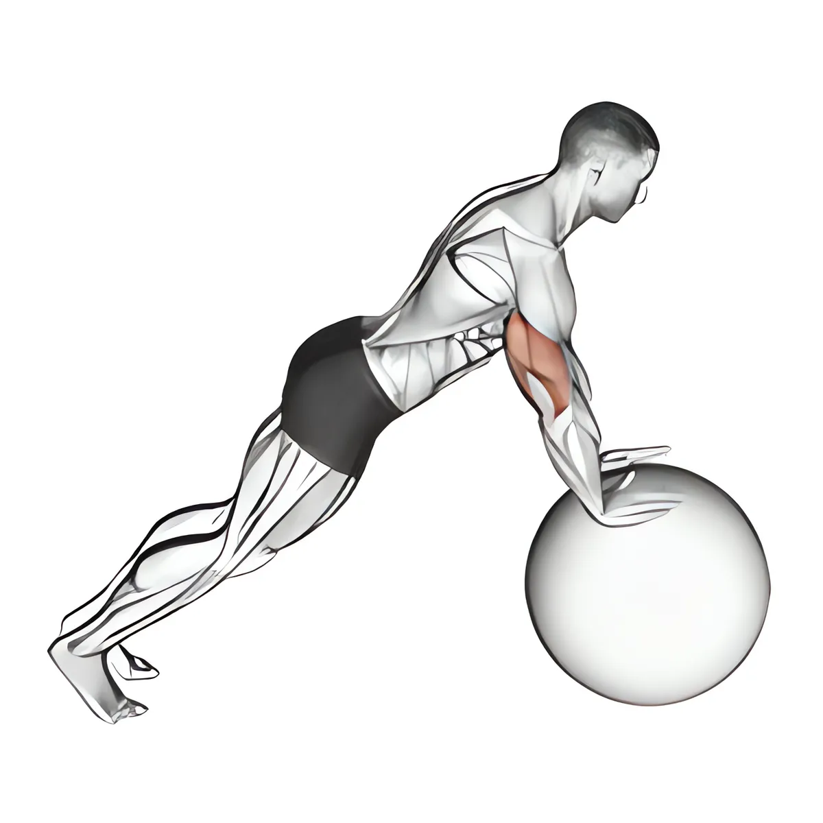 Chống đẩy tay trên bóng thăng bằng
