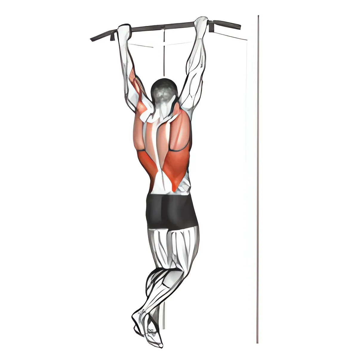 Hít xà kết hợp kéo xô kiểu Rocky