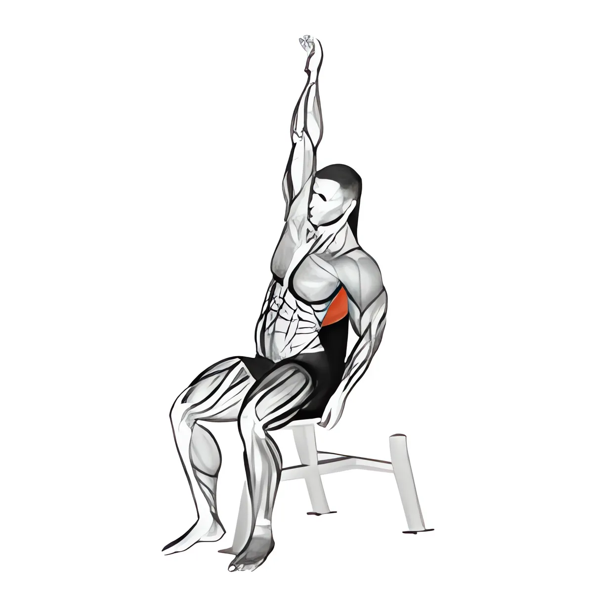 Ngồi dưới lưng kéo giãn