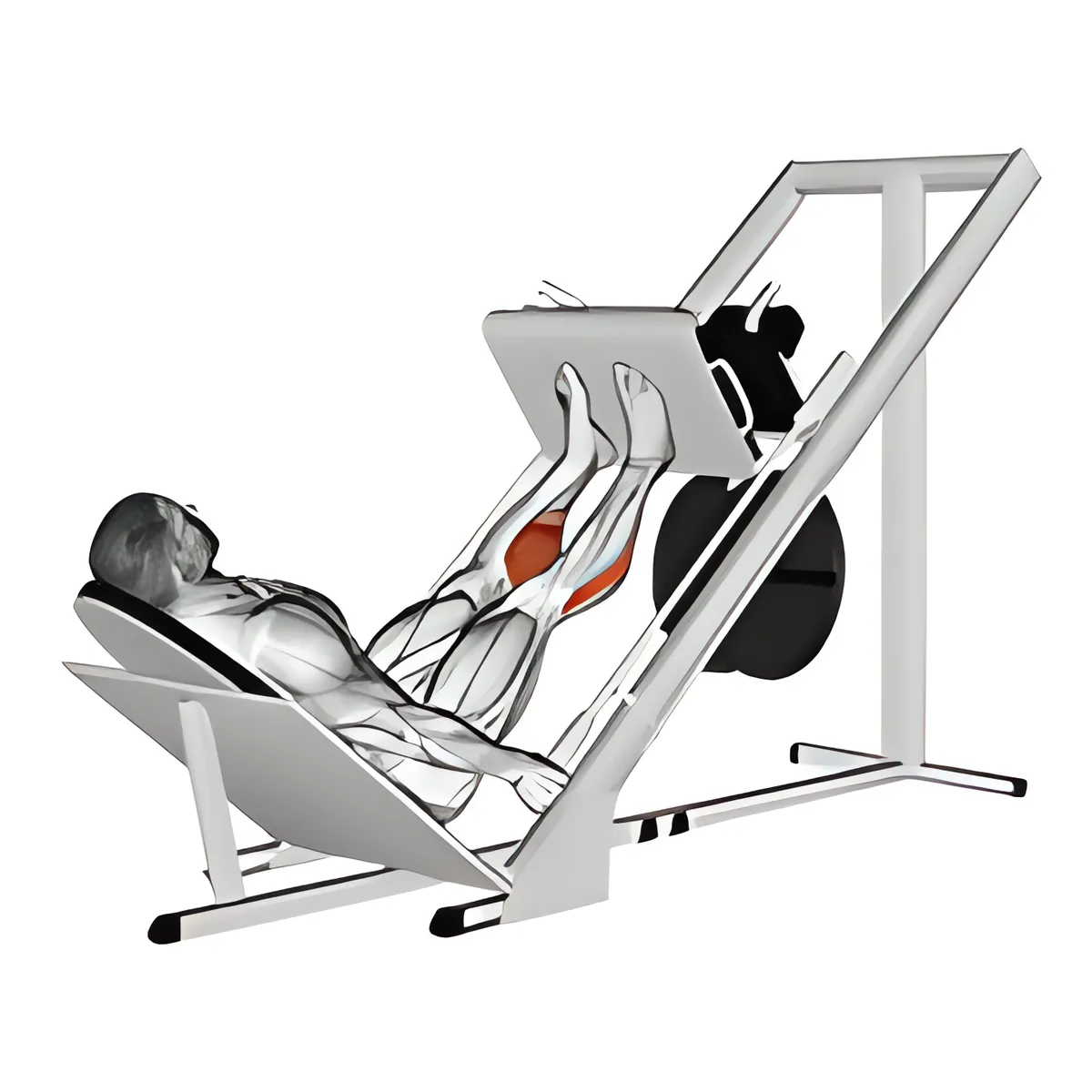 Đẩy bắp chân trên máy trượt 45°